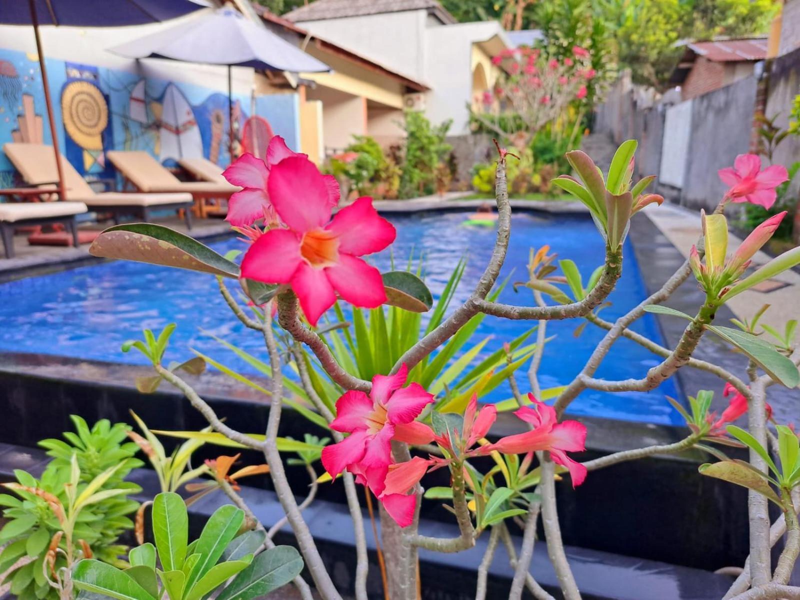 Family Garden Homestay Senggigi Kültér fotó